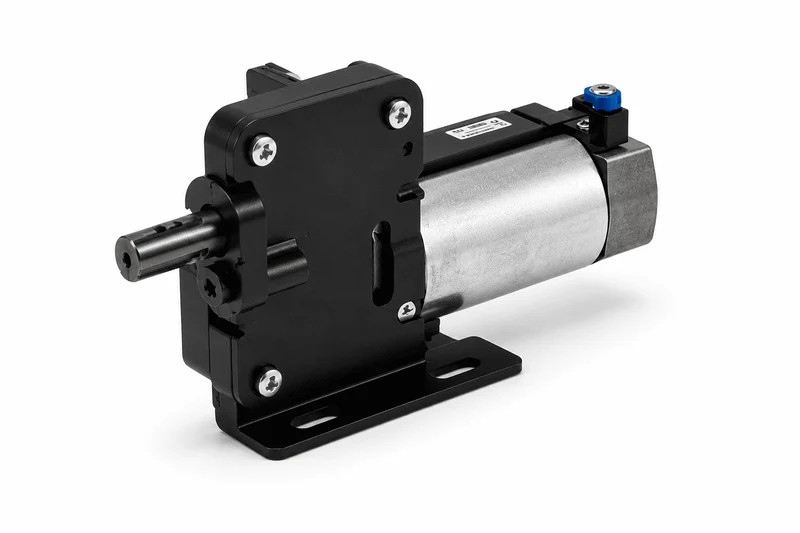 Motor Standard