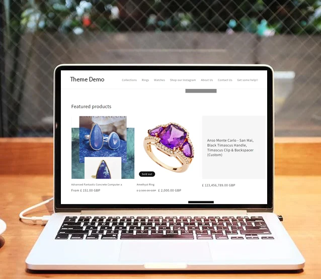 Shopify Website Development Using a Premium Theme