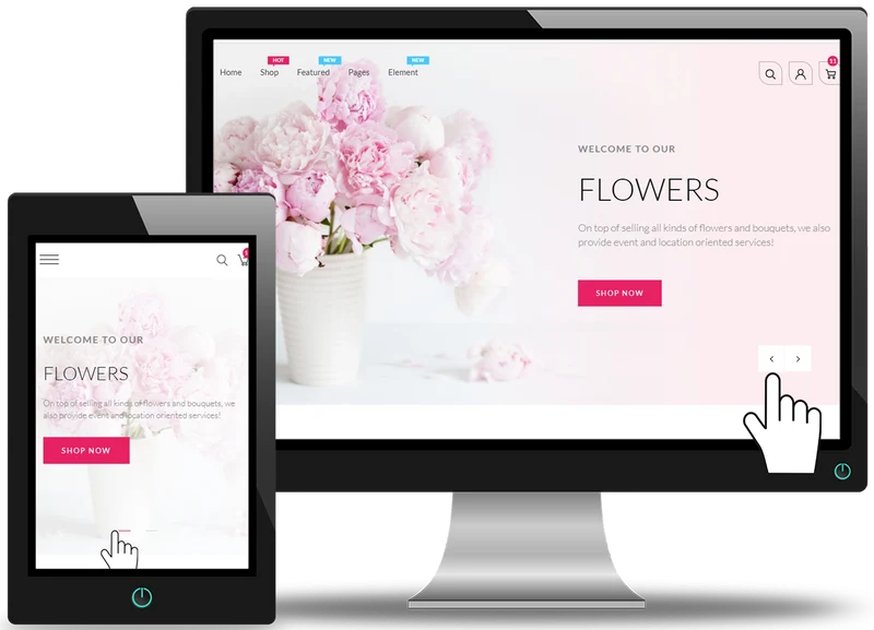 Homepage Slider Design