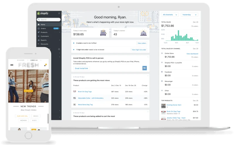 Customize and Design Any Shopify Theme