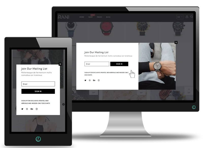 Connect Newsletter To Privy/Klaviyo Account